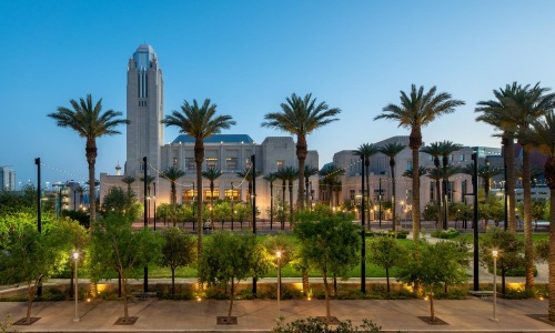 a park with palm trees and a tall building in the background