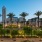 a park with palm trees and a tall building in the background