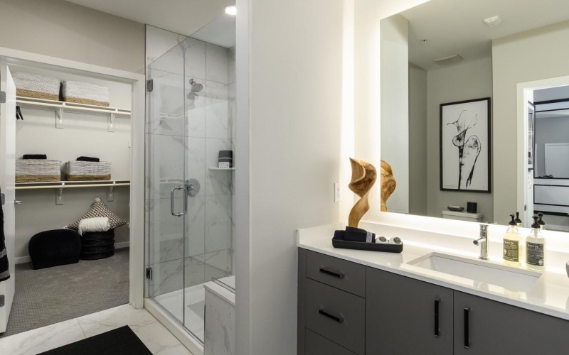 a bathroom with a glass, walk-in shower and walk-in closet access