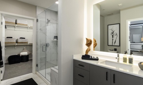 a bathroom with a glass, walk-in shower and walk-in closet access